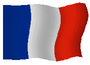 Un cinquième soldat français a été tué au Mali  578251